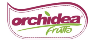 Orchidea Frutta